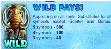 Wilds 1 Wilds 1